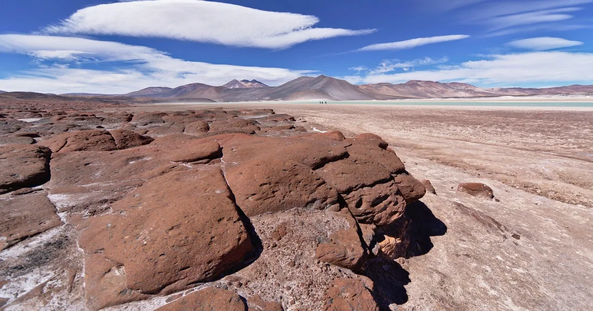 Piedras Rojas, Altiplanics Lagoons & Salar Full-Day Tour